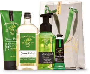 EUCALYPTUS SPEARMINT Aromatherapy Gift Bag Set – Body Cream – Body Wash & Foam Bath – Hand Soap and Hand Cream