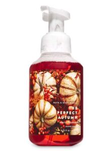 The Perfect Autumn Gentle Foaming Hand Soap 2019