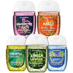 Bath and Body Works ADVENTURE AWAITS 5-Pack PocketBac Hand Sanitizers. 1 Oz each