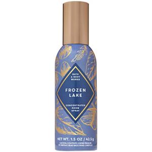 Bath Body Works Concentrated Room Perfume Spray Frozen Lake