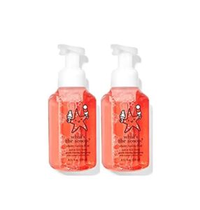 Bath and Body Works Cherry Vanilla Float Gentle Foaming Hand Soap, 2-Pack 8.75 Ounce (Cherry Vanilla Float)