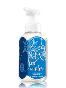 Bath & Body Works Gentle Foaming Hand Soap Winter 2016