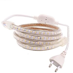 WSJIE Led Strip Light SMD 3014 Waterproof IP67 IP68 Warm White Blue Outdoor Tape Rope with Power Plug Dimmable Lamp (Color : Blue, Size : 1 Meter)