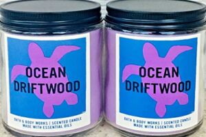 Bath and Body Works Ocean Driftwood Single Wick Candle (2 Pack) – 7 oz / 198 g Each