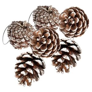 48 PCS Pine Cones for Christmas Tree Snowflake Natural Pinecones Ornament with String Pendant Crafts for Xmas Party Home Decor Fall Winter Holiday Christmas Tree Decoration (48)