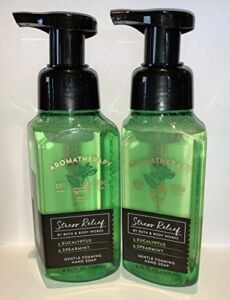 Bath & Body Works Aromatherapy Eucalyptus & Spearmint Stress Relief Gentle Foaming Hand Soap (2 Pack/Clear Bottle)