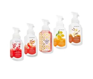 Bath and Body Works Foaming Hand Soaps – Set of 5 Gentle Foaming Soaps (Fruits & Toast)