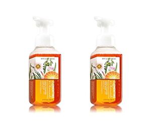 Bath & Body Works 2 Pack Clementine and Chamomile Foaming Hand Soap