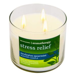 White Barn Bath and Body Works, 3-Wick Candle w/Essential Oils – 14.5 oz – 2021 Spring Scents! (Eucalyptus Spearmint – Stress Relief)