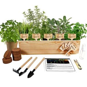 Indoor Herb Grow Kit, 5 Organic Herb Seeds Garden Starter Kit with Complete Planting Kit & Wooden Flower Box for Kitchen Windowsill Herb Garden DIY (Sage, Cilantro, Dill, Arugula, and Chives)