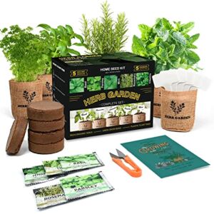 Indoor Herb Garden Starter Kit, 5 Non-GMO Herb Seeds – Basil, Parsley, Rosemary, Thyme, and Mint with Complete Planting Set Including Jute Bags, Markers, Soil Disks, Shears for Kitchen Herb Garden DIY