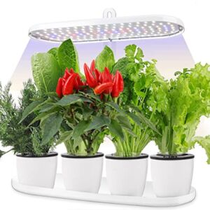 Indoor Garden Led Grow Light:Herb Seeds Kitchen Garden Grow Kit – House Plant Growing Lamps Growing System with Timer