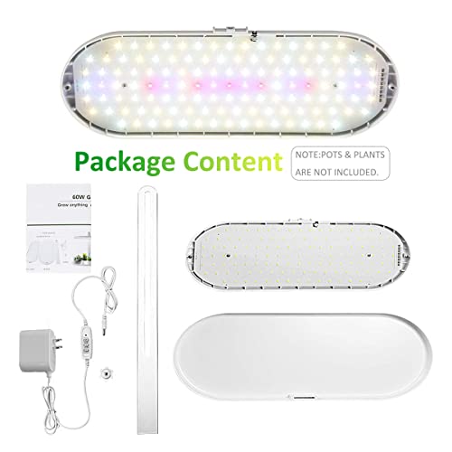 Indoor Garden Led Grow Light:Herb Seeds Kitchen Garden Grow Kit – House Plant Growing Lamps Growing System with Timer | The Storepaperoomates Retail Market - Fast Affordable Shopping