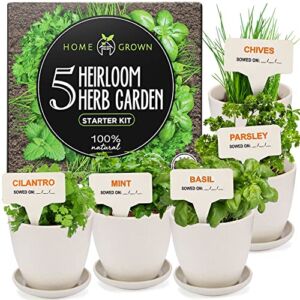 Indoor Herb Garden Starter Kit – 5 Herb Plant Grow Kit w/ Pots & Soil – DIY Heirloom Herb Seeds Home Gardening Kit – Kitchen Window Garden Growing Kit – Unique Gardening Gifts for Women & Men