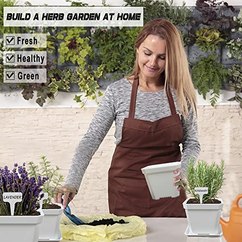 Herb Grow Kit, 10 Herb Seeds Garden Starter Kit, Complete Potted Plant Growing Set Including White Pots, Markers, Nutritional Soil, Watering, Herb Clipper for Kitchen Herb Garden DIY | The Storepaperoomates Retail Market - Fast Affordable Shopping