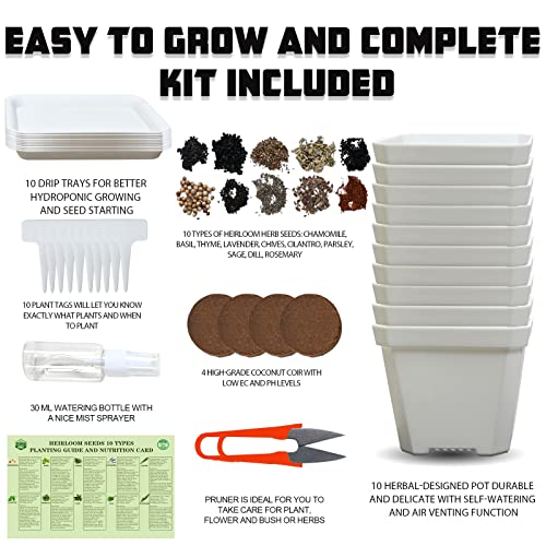 Herb Grow Kit, 10 Herb Seeds Garden Starter Kit, Complete Potted Plant Growing Set Including White Pots, Markers, Nutritional Soil, Watering, Herb Clipper for Kitchen Herb Garden DIY | The Storepaperoomates Retail Market - Fast Affordable Shopping