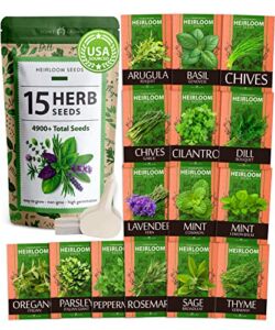 15 Culinary Herb Seeds Vault – Heirloom & Non GMO (2X More) 4900+ Seeds for Planting Indoor or Outdoor Herbs Garden | Gardening Gift for Men Women – Basil, Cilantro, Chives, Lavender, Mint, Thyme