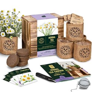 Indoor Herb Garden Seed Starter Kit – Herbal Tea Growing Kits, Grow Medicinal Herbs Indoors, Lavender, Chamomile, Lemon Balm, Mint Seeds for Planting, Soil, Plant Markers, Pots, Infuser, Planter Box