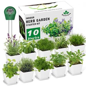 10 Herb Garden Kit Indoor Herb Garden Starter Kit for Growing Fresh Herbs – Kitchen Window Garden Herb Growing Kit – Unique Gardening Gifts for Women & Men