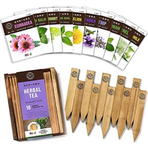 Herb Garden Seeds for Planting – 10 Medicinal Herbs Seed Packets Non GMO, Wood Gift Box, Plant Markers – Herbal Tea Gifts for Tea Lovers, Herb Growing Kit Indoor Garden Starter Kit
