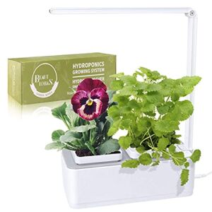 Hydroponics Growing System, Indoor Herb Garden for Herb/Vegetable, LED Grow Light with Timer & Self-Watering, Smart Garden Grow Kit for Home/Room/Kitchen/Office