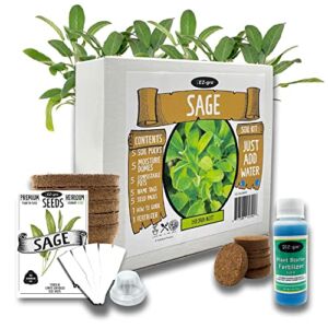 Sage Herb Growing Kit by EZ-gro | Growing Sage Seeds is Easy with Our Indoor Herb Garden Kit | Sage Seeds for Planting are Perfect in Our Herb Kit