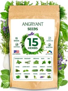 Herb Seeds 15 Variety Pack – Non GMO, Heirloom Seeds for Planting Indoor, Outdoor, and Hydroponic Medicinal Garden – Basil, Cilantro, Mint, Lavender, Rosemary, Dill, Parsley, Thyme, Sage, and More