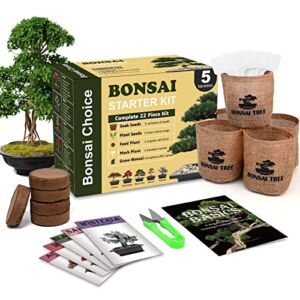 Indoor Bonsai Tree Starter Kit, 5 Types Non-GOM Heirloom Bonsai Seeds Growing into Acacia, Wisteria, Sakura, Red Maple and Black Pine with Complete Planting Tools, Gardening Gift for Plant Lovers
