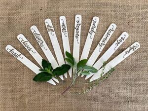 Plantid™ Assorted 10-Pack Kitchen Herbs! Farmhouse Decor Outdoor Indoor Herb Garden Stakes, Plant Labels, Plant Tags, Garden Markers, Garden Accessories, Garden Gifts, Holiday Stocking Stuffers
