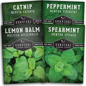 Survival Garden Seeds Mint Collection Seed Vault – Peppermint, Spearmint, Lemon Balm and Catnip Seeds – Grow Herbal Tea & Culinary Herbs – Non-GMO Heirloom Herbs for Outdoor and Indoor Gardens