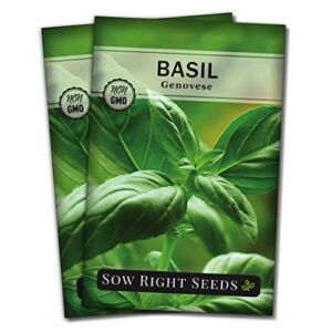 Sow Right Seeds – Genovese Sweet Basil Seed for Planting – Non-GMO Heirloom Seeds to Plant – Instructions to Grow a Kitchen Herb Garden, Indoors or Outdoor; Great Gardening Gift (2)