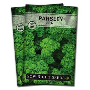 Sow Right Seeds – Curly Leaf Parsley Seed for Planting – Non-GMO Heirloom – Instructions to Plant and Grow a Kitchen Herb Garden, Indoor or Outdoor; Great Gardening Gift (2)