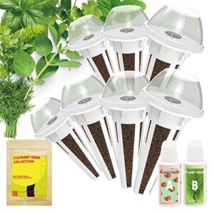 Herb Seed Starter Pod Kit Plant for AeroGarden, inbloom 5 Pods Hydroponics Growing System, Indoor Garden, 7-Pods (350+ Seeds Included Basil, Parsley, Oregano, Thyme, Mint, Cilantro, and Dill)