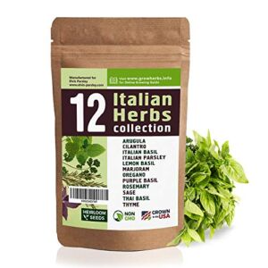 12 Italian Herb Seeds Variety – USA Grown for Indoor or Outdoor Garden – Heirloom and Non GMO – Four Basil Varieties, Parsley, Cilantro, Thyme, Oregano, Marjoram, Rosemary, Sage, Arugula