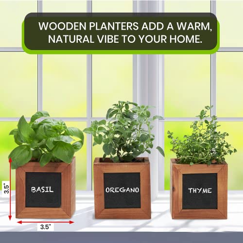 ZESTIGREENS Indoor Herb Pots for Herbs, Succulents, or Small Plants. 3 x Indoor Plant pots with Waterproof Liner Included. | The Storepaperoomates Retail Market - Fast Affordable Shopping