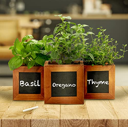 ZESTIGREENS Indoor Herb Pots for Herbs, Succulents, or Small Plants. 3 x Indoor Plant pots with Waterproof Liner Included. | The Storepaperoomates Retail Market - Fast Affordable Shopping