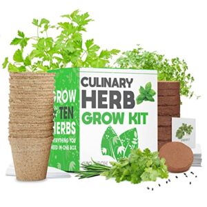 Herb Garden Indoor Herb Garden Starter Kit Easily Grow 10 Herbs Seeds – Indoor Herb Planters – Herb Garden Growing Kit – Grow Basil, Cilantro, Chives, Arugula and More – Gardening Gifts