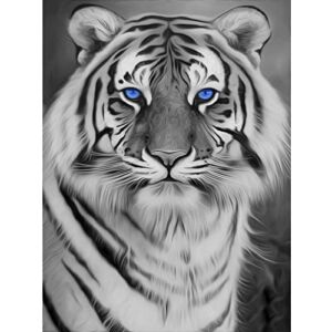 MXJSUA White Tiger Diamond Painting Kits for Adults,Tiger Diamond Art Kits,5D Paint with Diamond Full Round Drill Gem Art,Tiger Diamond Art Painting Kits (12×16/30x40cm)