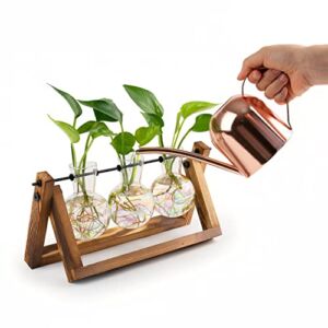 Plant Terrarium with Copper Watering Can Herb Garden Indoor Plants Propagation Station Glass Bulb Planter Vase Wooden Stand Hydroponics Gift for Women Plant Lovers