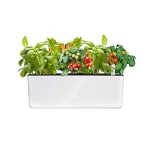 Rectangle Self Watering Planter with Water Level Indicator, Window Gardening Box, Indoor Home Herb Garden, Modern Decorative Planter Pot, 16x 5.5 Inch, White (Plants Not Included)