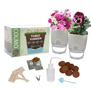 COLMO Indoor Garden Kit Table Garden Plants Kit, (Cosmos, Pansy), Herbs Kit for Cooking in House Garden Kit, Home Growing Gift for Plant Lovers