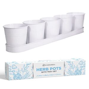 SCANDINORDICA Herb Planter – White 5 Herb Pots with Drainage Holes and Tray, Windowsill Planter, Window sill Planters Indoor, Herb Pots for Indoor Plants | Farmhouse Kitchen Decor