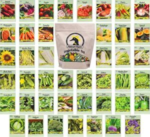 Set of 43 Assorted Vegetable & Herb Seed Packets – Over 3000 Seeds! – Includes Mylar Storage Bag – Deluxe Garden Heirloom Seeds – 100% Non-GMO