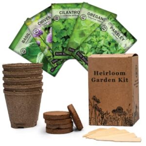 Sow Right Seeds – Heirloom Herb Garden Kit – 5 Seed Packets with Instructions, Pots, Potting Soil, Plant Markers – Start and Grow Basil Cilantro Parsley Oregano Chives Indoors – Non GMO Beautiful Gift
