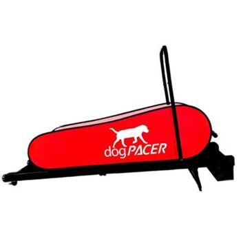dogPACER LF 3.1 Full Size Dog Pacer Treadmill, Black and Red, Model Number: 91641 | The Storepaperoomates Retail Market - Fast Affordable Shopping