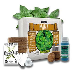 Mint Herb Growing Kit by EZ-gro | Growing Mint Seeds is Easy with Our Indoor Herb Garden Kit | Mint Seeds for Planting are Perfect in Our Herb Kit