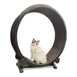 TWW Treadmill Ferris Wheel Pet Furniture Cat Scratch Board Grab Crawling Shelf Wheel Rotation Fitness Weight Loss Toys
