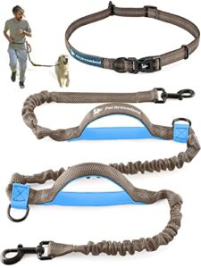 Hands Free Dog Leash Large Dog | Around The Waist Dog Leash for Running | Service Dog Leash for Walking | No Pull Training Lead | Adjustable Belt and Retractable Bungee | Hip Pet Lease | Hiking Gear