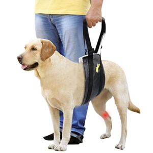 HeoBam Dog Portable Lift Harness Support Sling/Old Dogs/Assisted Rehabilitation Rear Legs Walking Aid/Help Relieve The Joint Damage and Arthritis Caused by The Loss of ACL/Adjustable/Black/Medium