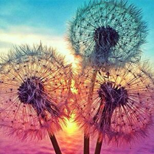 5D DIY Diamond Painting Kits for Adults Full Drill Crystal Rhinestone Embroidery Cross Stitch Arts Craft Canvas Wall Decor Dandelions